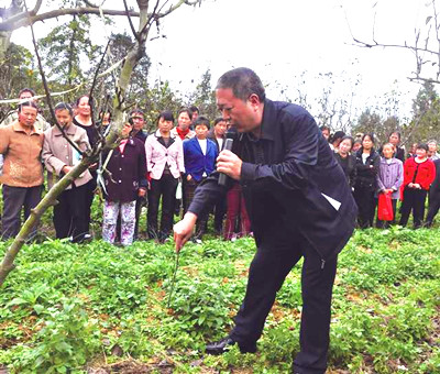 1645016306816073.jpg 1.jpg