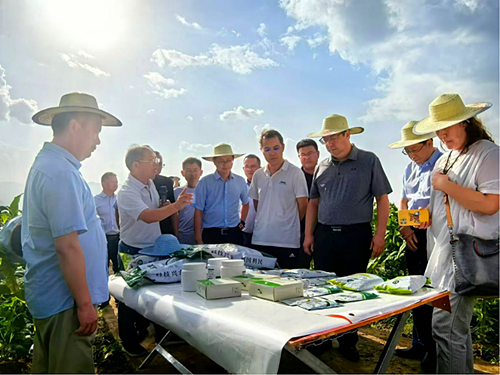 1724077497480952.png 2.png